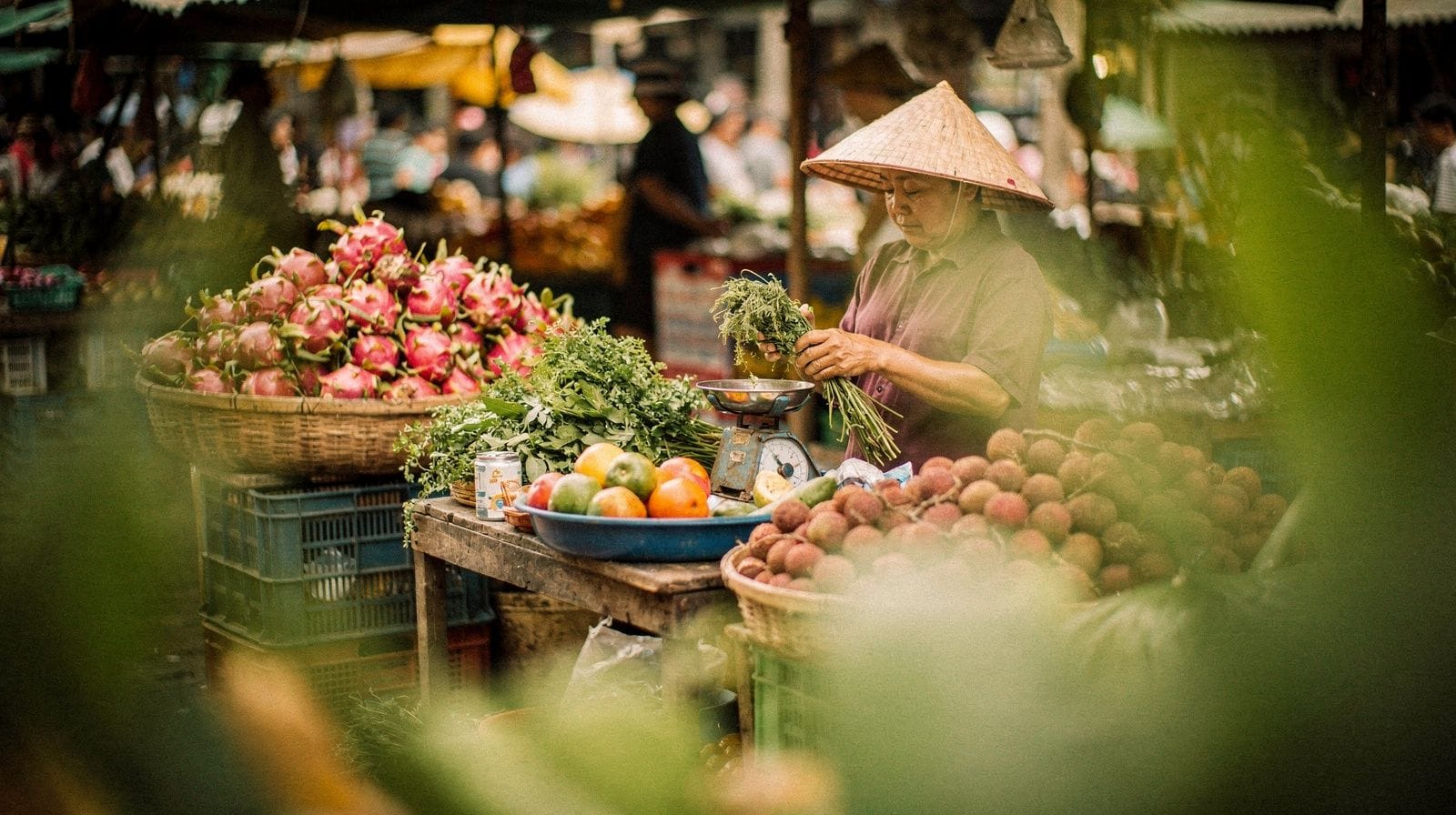 How Much to Tip in Vietnam: What I Actually Do