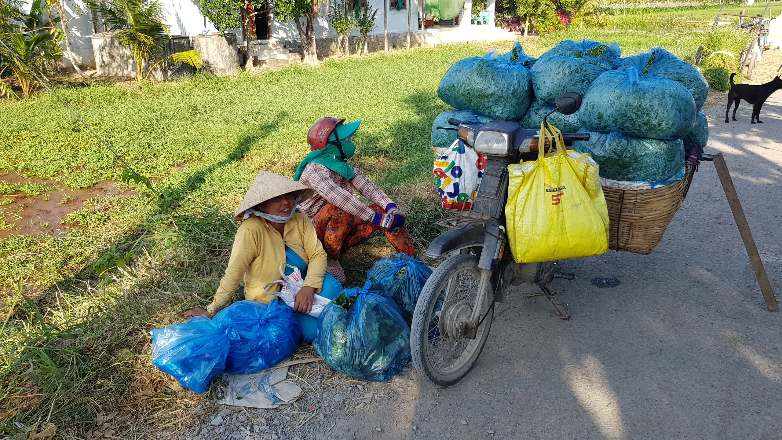 Vietnam gastronomique en 12 jours
