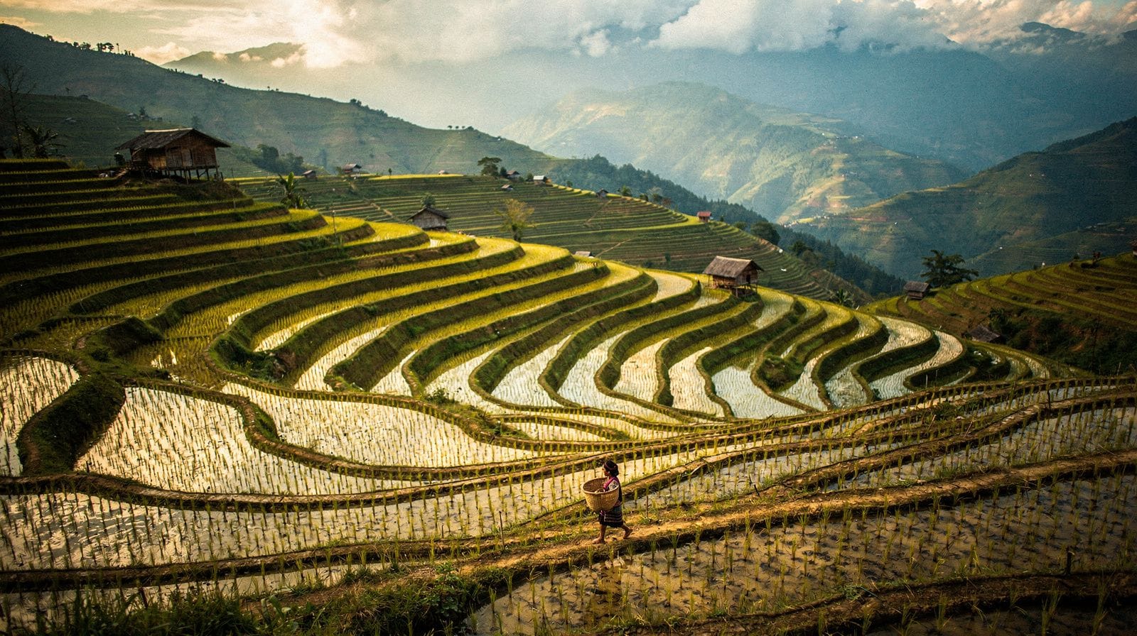 Mu Cang Chai: Vietnam's Rice Terraces of the North-West