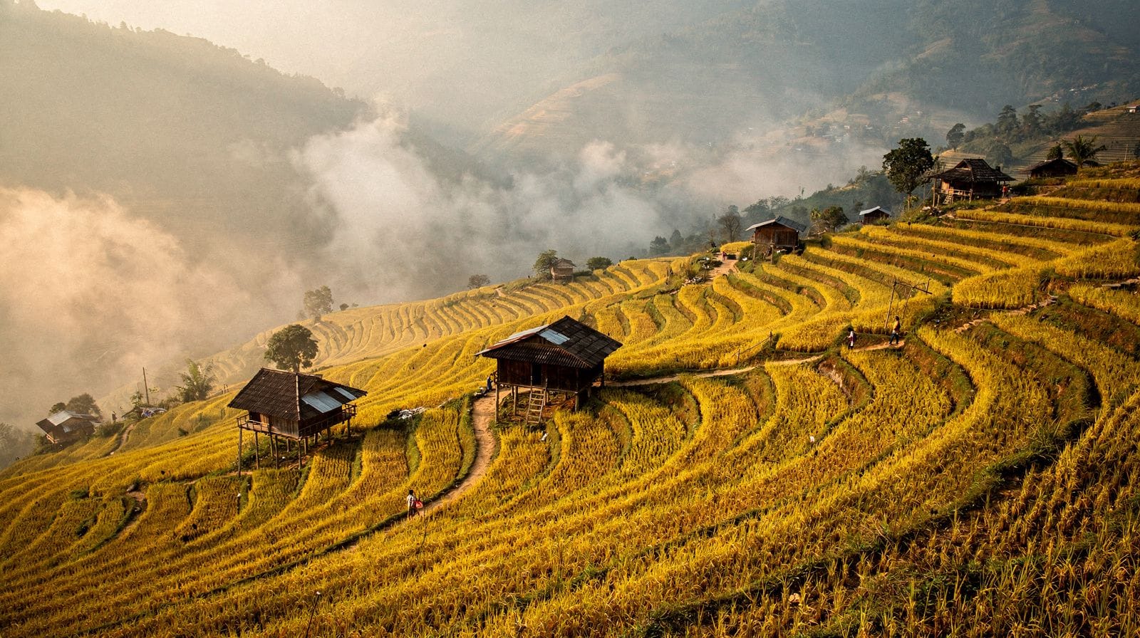 Northern Vietnam: Hanoi, Ha Long Bay, Ninh Binh, Sapa and the Mountains