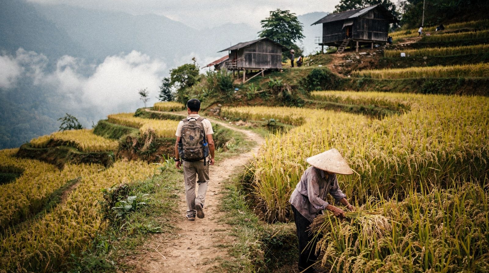 Best Time to Visit Vietnam: One Country, Three Climates
