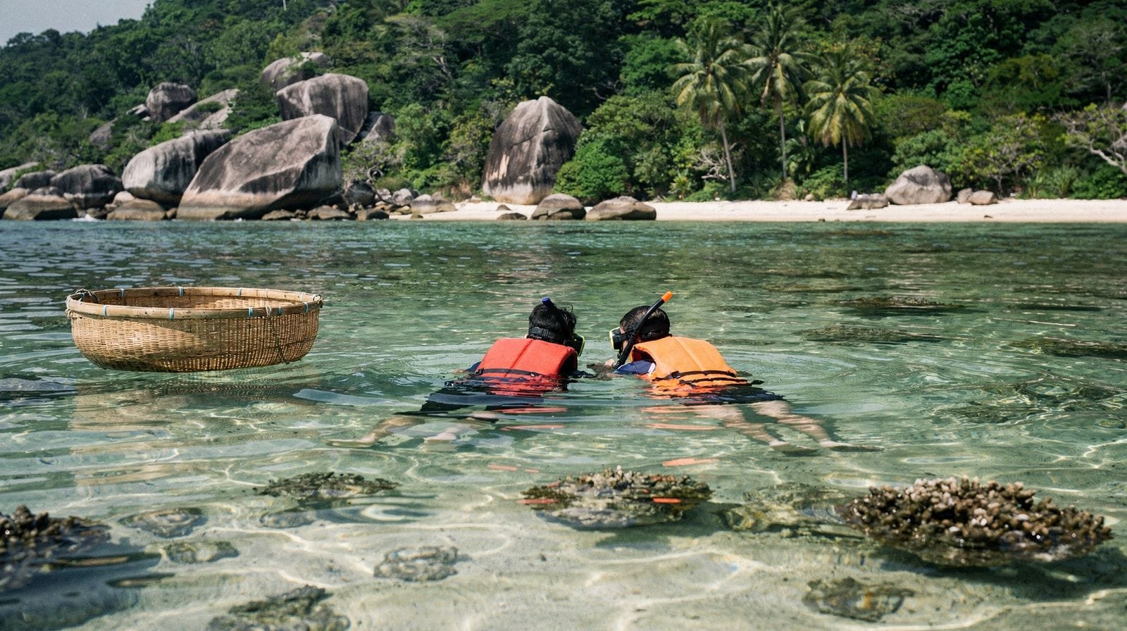 Cham Islands Snorkeling Tours from Hoi An: What to Know Before You Book
