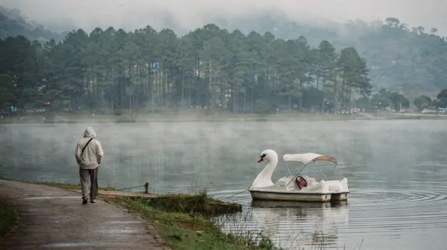 Da Lat City Tours: How to Choose a Guided Visit in the Highlands