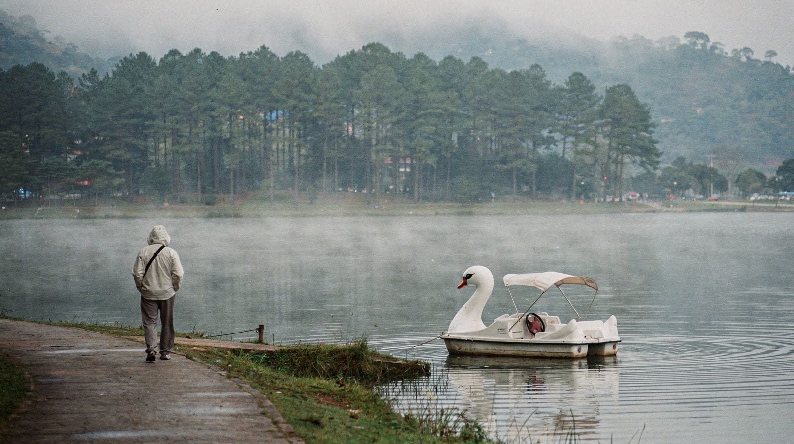 Da Lat City Tours: How to Choose a Guided Visit in the Highlands