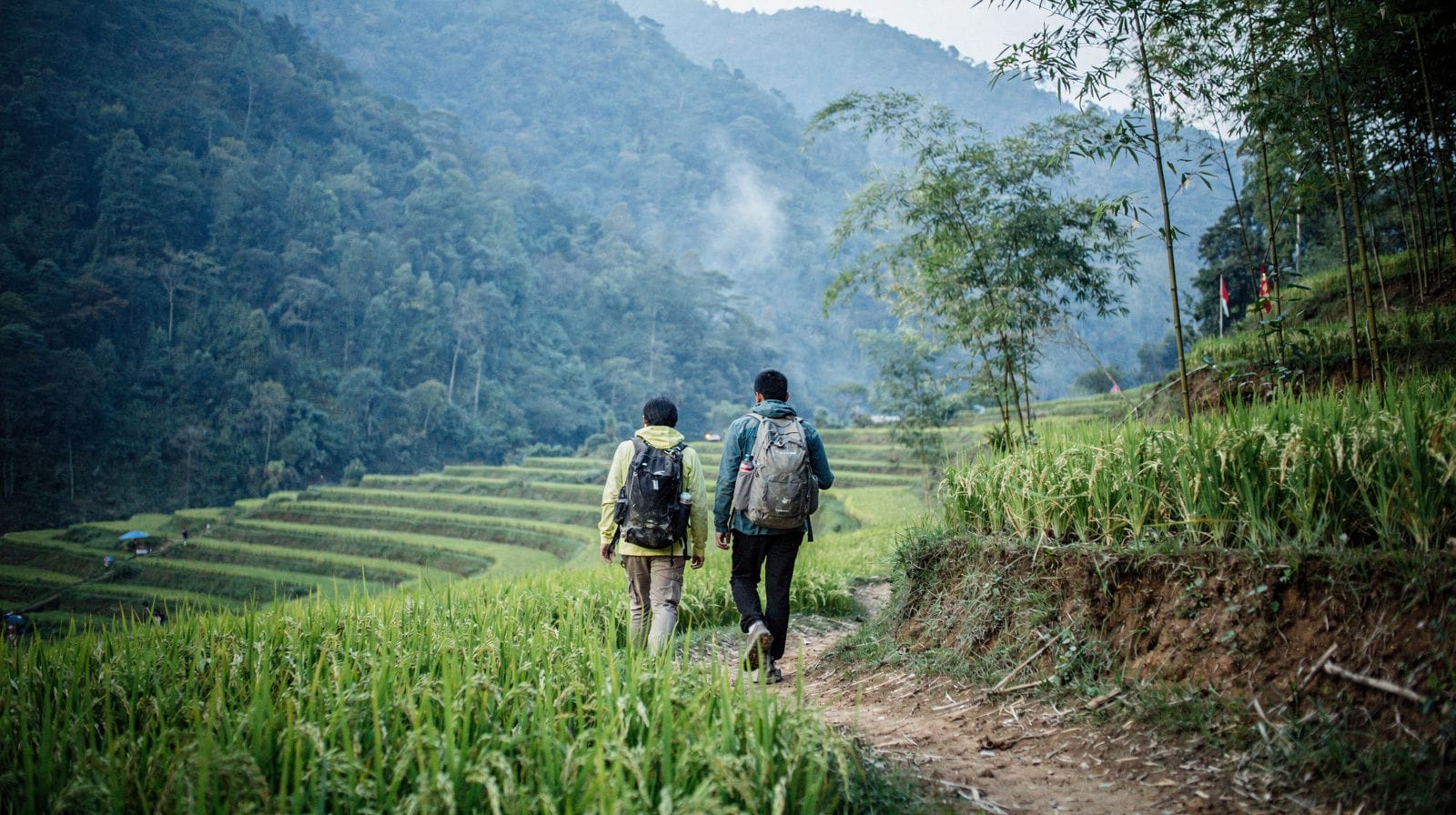 Trekking and Hiking Around Da Lat: Independent Walks or a Guided Trek