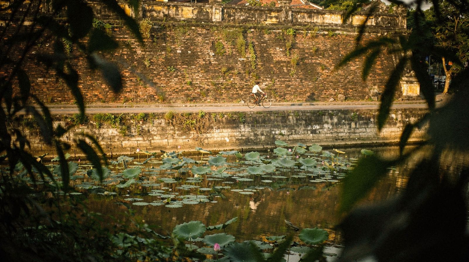 Hue City Tours: How to Choose Between Group, Private, Bicycle and Cyclo Visits