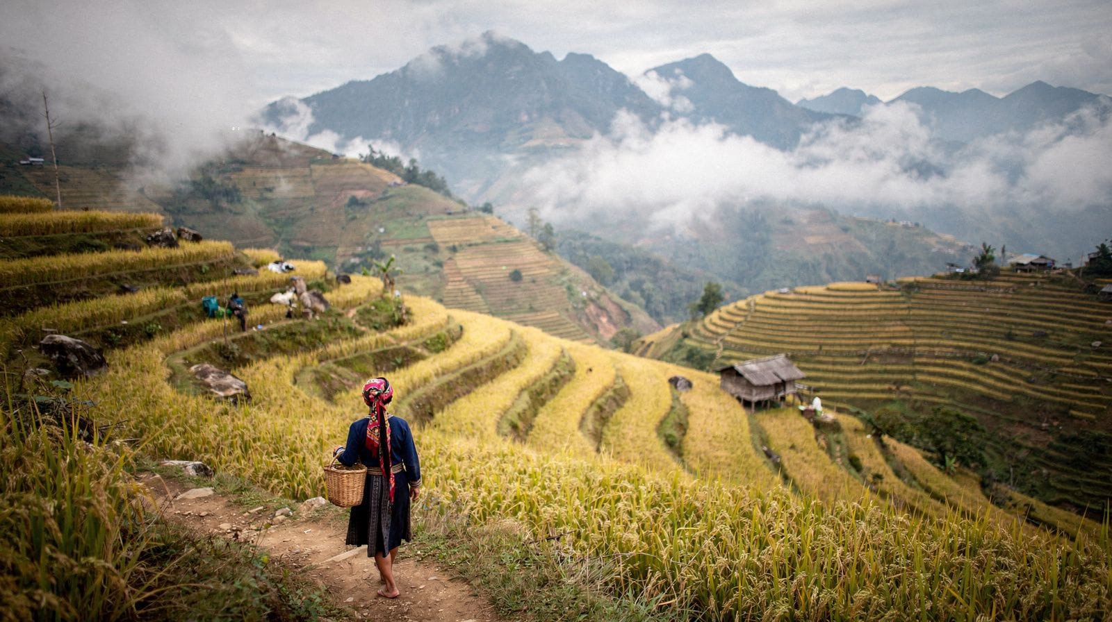 Sapa Herbal Baths and Spas: A Warm Soak After the Mountains
