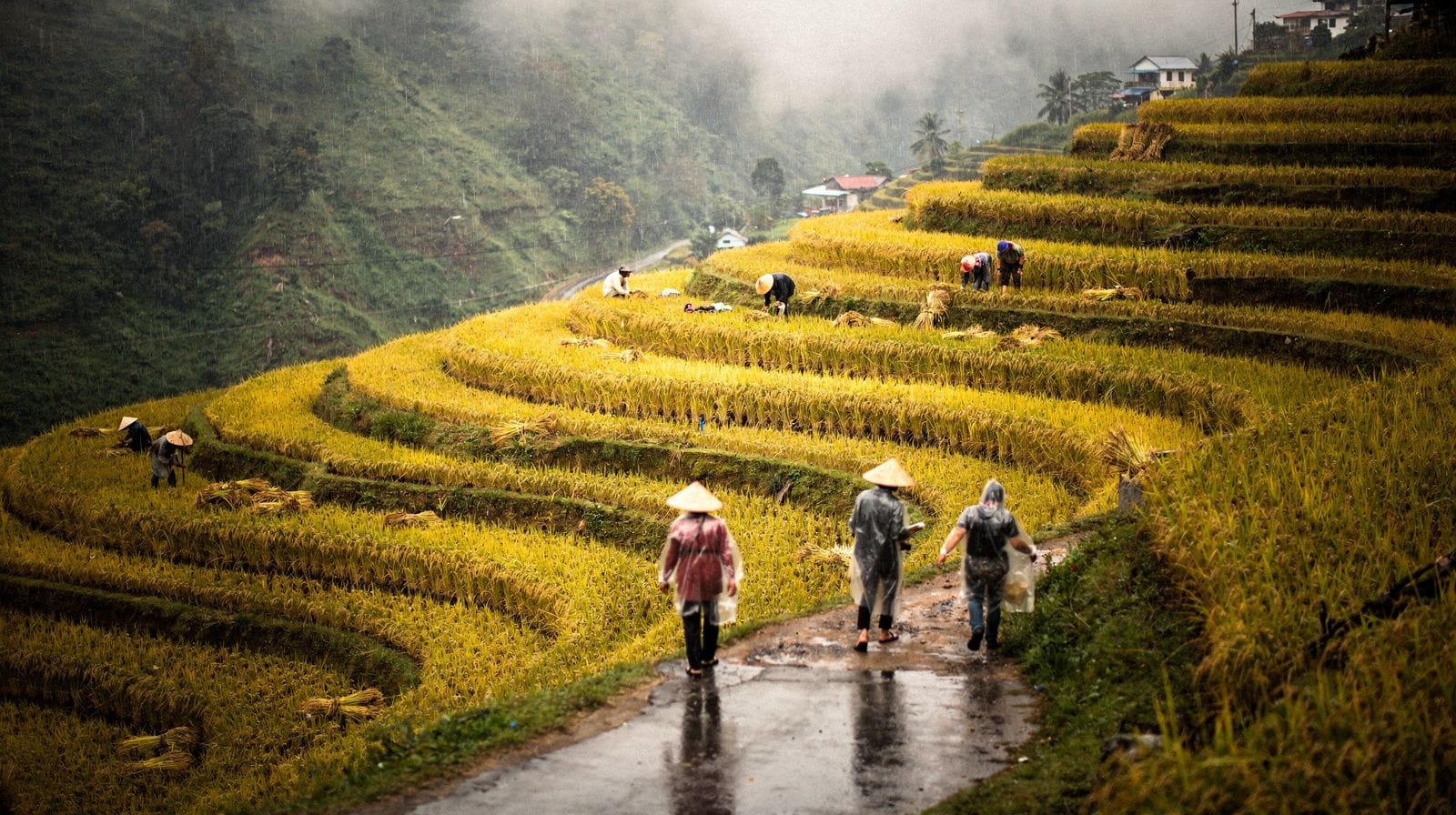 Vietnam's Rainy Season and Typhoons: Three Countries, Three Patterns