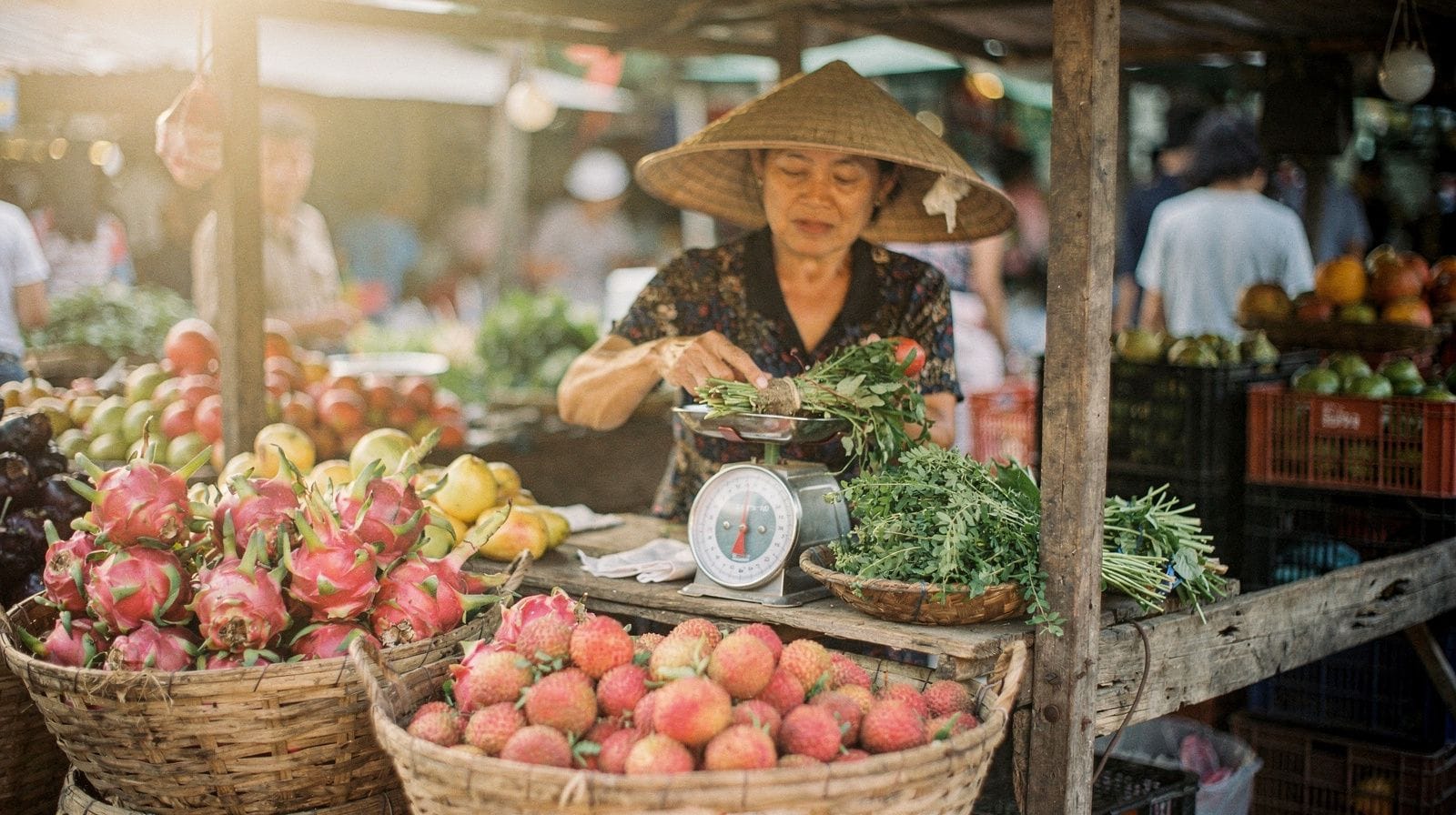 Vietnam Travel Budget: How a Trip Is Priced and Where the Money Goes