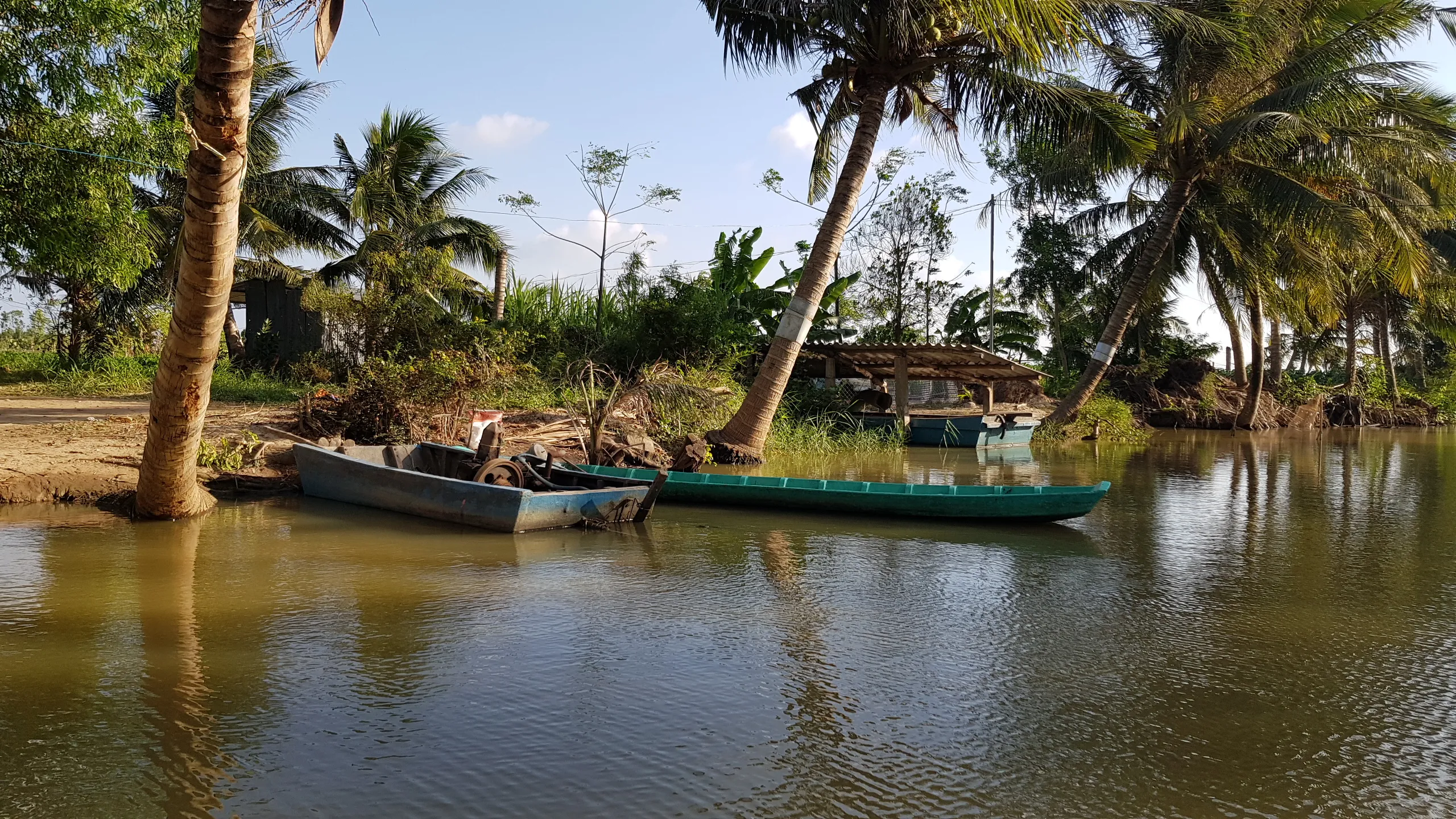 Canaux bordés de cocotiers à Bến Tre