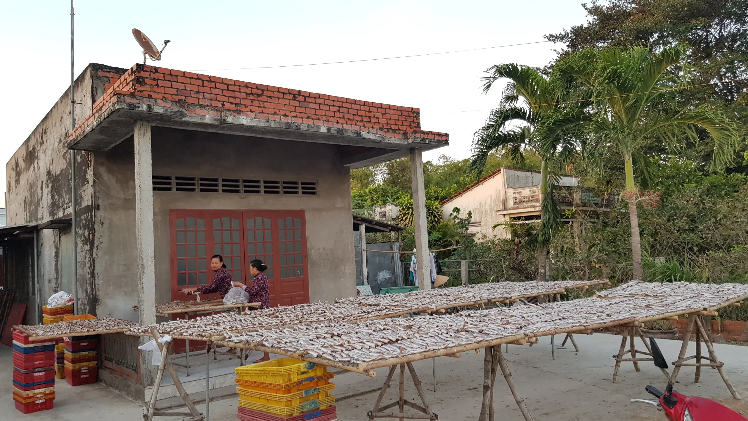 Traditions culinaires Vietnam